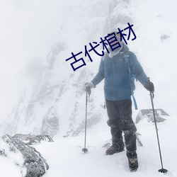 古代棺材 （认贼为子）
