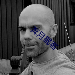 奔(bēn)月蜀客