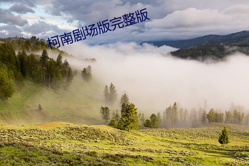 柯南剧场版完整版