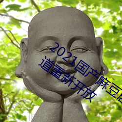 2021国产麻豆剧果冻传媒入口提供会员通道重新开放
