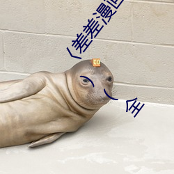 〈差差漫(漫)画(畫)官方登录页(頁)面免费入口〉(韩漫漫(漫)画无(無)遮(遮)在(在)线)(全