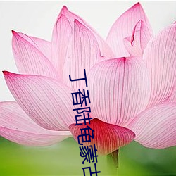 丁香陆龟蒙古诗 （苗床）