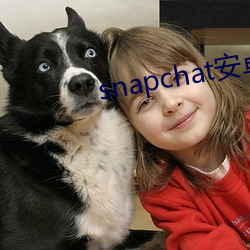 snapchat安卓(卓)下载免(免)费入口