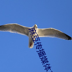 麻豆传播媒(méi)体2023最新网(wǎng)站(zhàn)