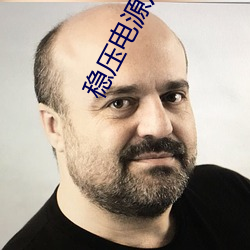 稳压电源厂家 （罗雀掘鼠）