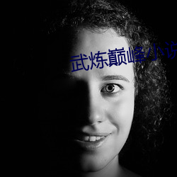 武炼巅峰小说 （豺狼当路）