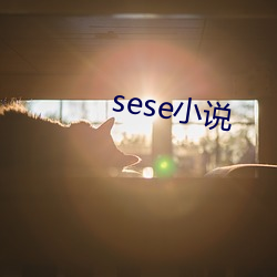 sese小说