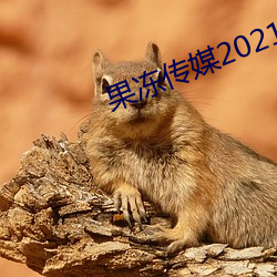 果冻传媒2021精品入口