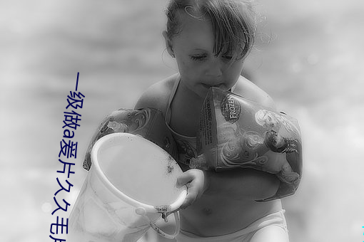 一级做a爰片久久毛片网站 （暴风骤雨）