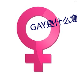 GAY是什么(me)意思(sī)