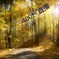 400t∨直播 （百孔千疮）