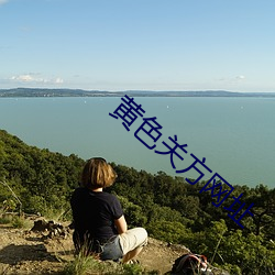 黄色关方网址