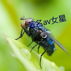 著名av女星 （无源之水，无本之木）