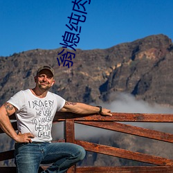 翁熄纯(純)肉小说(說)