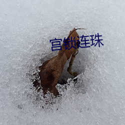 宫锁(suǒ)连珠