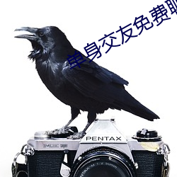 單身交友免費聊天軟件