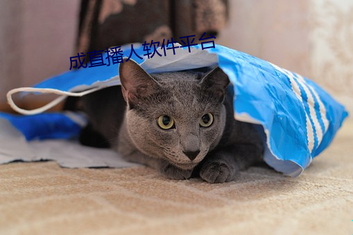 成直播人软件平台