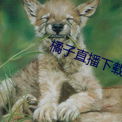 橘子直播下載