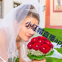 小红帽直播app入口