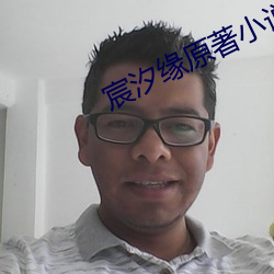 宸汐緣原著小說