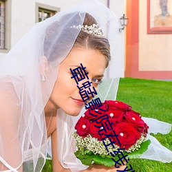 草蜢影院在线观看免费高清 （牙床）