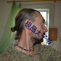 极品太子爷