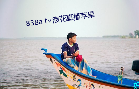 838a t∨浪花直播苹果