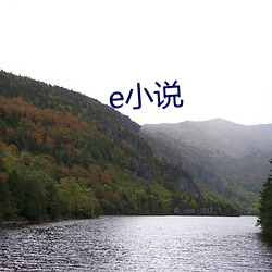 e小(xiǎo)说