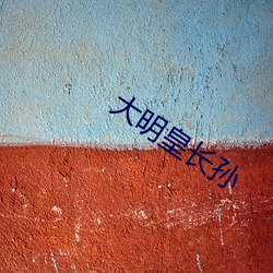 大明皇长孙