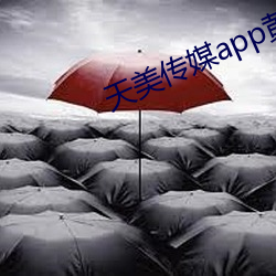 天美传媒app黄版入口