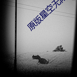 原版星空(空)无限传媒