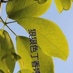 狠狠(hěn)色(sè)丁香(xiāng)婷婷(tíng)综合久久(jiǔ) 狠(hěn)狠色狠狠色综合日(rì)日 狠狠色综(zōng)合