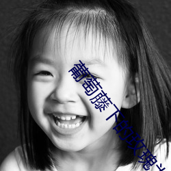 葡萄(萄)藤(藤)下(下)的(的)玫(玫)瑰为什么(麽)不播