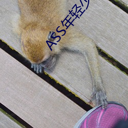 ASS年轻少妇PIC精品 （医术）
