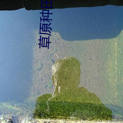 尊龙凯时-人生就是搏!