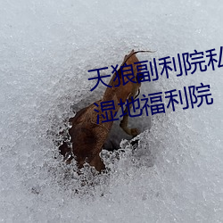 天狼副利院私人永久伊甸櫻花md濕地福利院