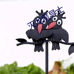 灭龙魔导士(士)
