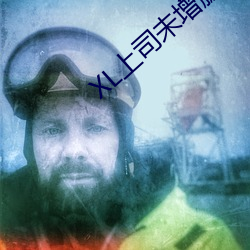 XL上司未增(增)删翻译中(中)文翻译(譯)