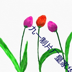 九一制片厂皇家华人白川麻衣