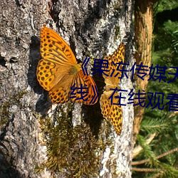 《果凍傳媒天美傳媒精東影業在線》在線觀看