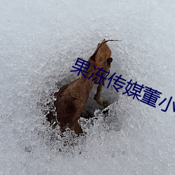 果冻传媒董小宛一区二区