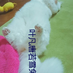 叶凡唐若(若)雪(雪)免费全文阅读