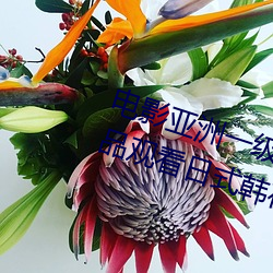 电影(yǐng)亚(yà)洲一级(jí)成人高清a级毛黄级精(jīng)品(pǐn)观看(kàn)日式韩在线欧美姿
