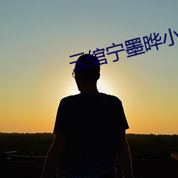云绾宁墨晔小说全文免费阅读
