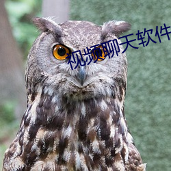 視頻聊天軟件一般收費