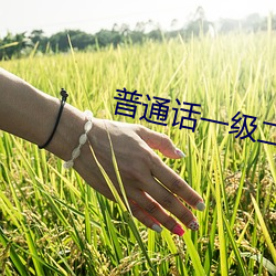 普通话一级二级