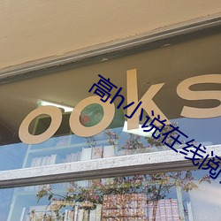 高h小说(說)在线阅读