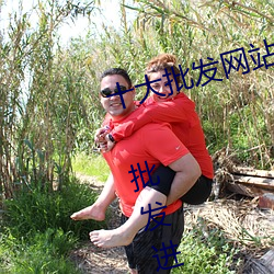 十大批发网站 进货批发网站哪个好 批发进货平台有哪些→MA （一事不知）