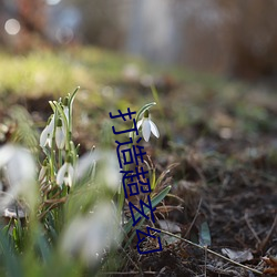 打(打)造(造)超玄(玄)幻(幻)
