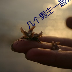 几个(個)男主一起分享女主的甜